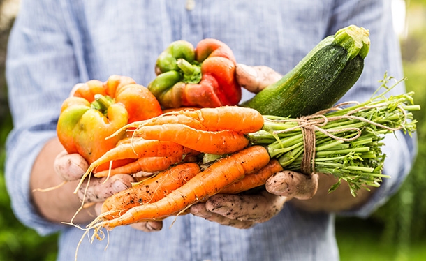 frisch & regional einkaufen