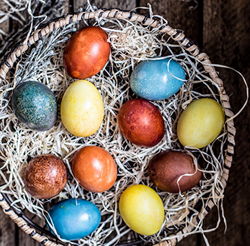 Conseils autour des œufs