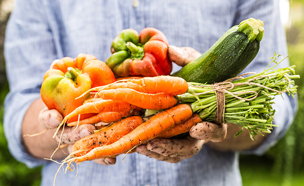 frisch & regional einkaufen