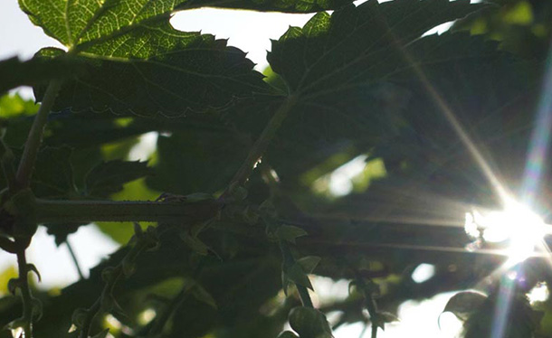 Durable dans la vie quotidienne