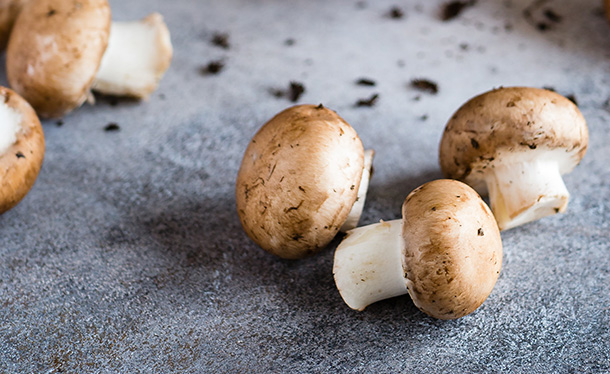 Plaisir des champignons